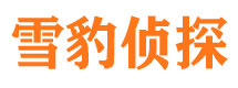 谢家集外遇出轨调查取证